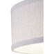 Briscoe 2 Light 13 inch Graphite Flush Mount Ceiling Light