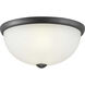 Alana Dr 2 Light 14 inch Graphite Flush Mount Ceiling Light