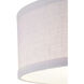 Briscoe 2 Light 13 inch Graphite Semi-Flush Mount Ceiling Light