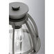 Alva Dr Outdoor Wall Lantern
