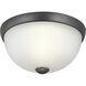 Alana Dr 1 Light 11 inch Graphite Flush Mount Ceiling Light