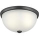 Alana Dr 2 Light 14 inch Graphite Flush Mount Ceiling Light