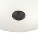 Alana Dr 3 Light 16.5 inch Graphite Flush Mount Ceiling Light