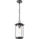 Bremond 1 Light 8 inch Matte Black Outdoor Pendant