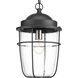 Amherst Ave 1 Light 10.5 inch Black Outdoor Hanging Lantern