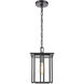 Brough 8 inch 100.00 watt Matte Black Outdoor Pendant