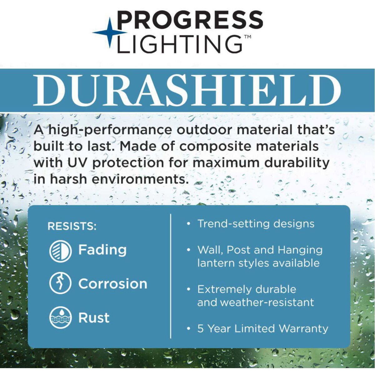 Roxana 1 Light 11 inch Antique Bronze Outdoor Wall Lantern