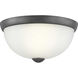 Alana Dr 1 Light 11 inch Graphite Flush Mount Ceiling Light