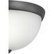 Alana Dr 1 Light 11 inch Graphite Flush Mount Ceiling Light