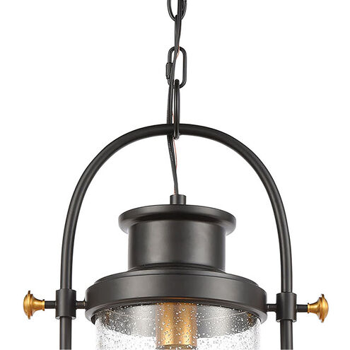 Ash Creek 1 Light 12 inch Matte Black with Brushed Brass Outdoor Pendant