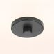 Briscoe 2 Light 13 inch Graphite Flush Mount Ceiling Light