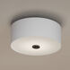 Briscoe 2 Light 13 inch Graphite Flush Mount Ceiling Light