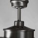 Dungarvan 60 inch Antique Nickel with Driftwood Blades Ceiling Fan, Progress LED