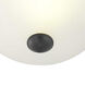 Alana Dr 1 Light 11 inch Graphite Flush Mount Ceiling Light