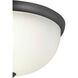 Alana Dr 2 Light 14 inch Graphite Flush Mount Ceiling Light