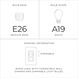Briscoe 2 Light 13 inch Graphite Flush Mount Ceiling Light