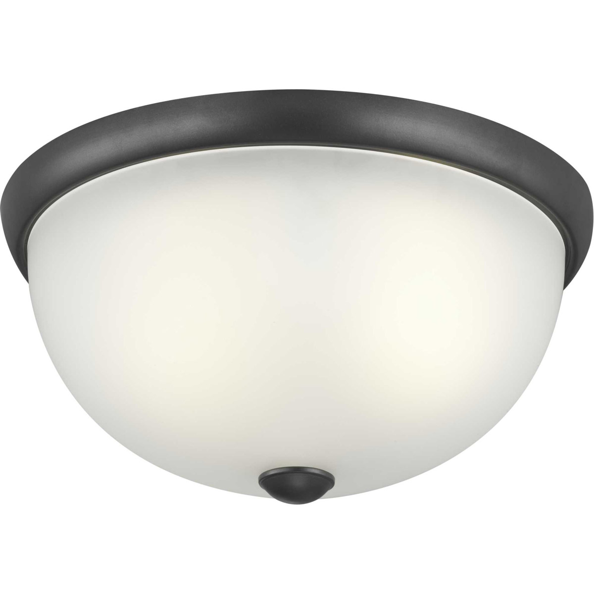Alana Dr 2 Light 14 inch Graphite Flush Mount Ceiling Light