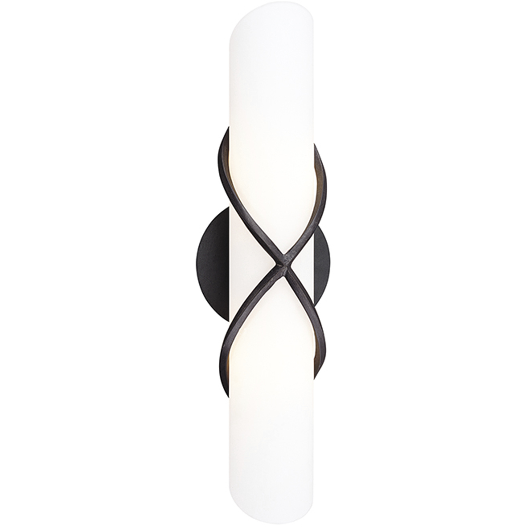 Bogus Springs 2 Light 18 inch Graphite Bath And Vanity Wall Light